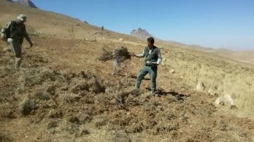 رفع تصرف ۵۷۵۶ مترمربع از اراضی ملی منطقه حفاظتشده شیدا شهرستان بن