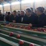 سردخانه ۲۰۰۰ تنی و ۲ واحد سورتینگ بستهبندی میوه در اشنویه افتتاح شدند