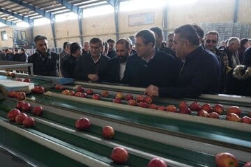 سردخانه ۲۰۰۰ تنی و ۲ واحد سورتینگ بستهبندی میوه در اشنویه افتتاح شدند