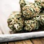 عوارض تکاندهنده مخدر گل؛ از قتل و خودکشی تا بستری شدن در تیمارستان/ دسترسی به این مخدر خطرناک در کشور کمتر از ۱۰ دقیقه است