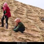 «فیزیکِ فولاد» به نجاتِ «بیابان» میآید؛ فرمول فراموش شدهای که میتواند بدون آب و برق، گلویِ کانونهای ریزگرد خوزستان را بفشارد