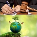 لرستان پیشتاز در صدور آرای سبز قضایی در حوزه حفاظت محیط زیست