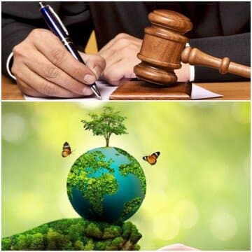 لرستان پیشتاز در صدور آرای سبز قضایی در حوزه حفاظت محیط زیست