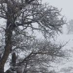 مدیرکل هواشناسی گیلان:هوای گیلان تا ۱۲ درجه سردتر می شود