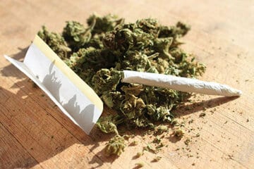 مضرات گل ۱۰ برابر شاهدانه است/ تغییرات ژنتیکی روی ماده مخدر «گل» در ایران/ تولید شیشه در افغانستان شدت گرفته است