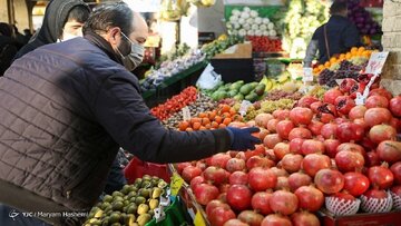 نگران گوجهفرنگی نباشید؛ قیمتها به تعادل رسید/ شادلو: مغازهداران دنبال گرانفروشی در شب یلدا نباشند