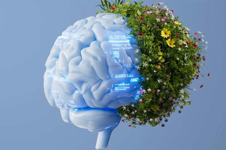 هوش مصنوعی جدید قوانین پنهان طبیعت را کشف میکند