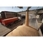 ورود کشتی سههزارتنی گندم به بندر نوشهر