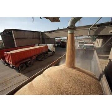 ورود کشتی سههزارتنی گندم به بندر نوشهر