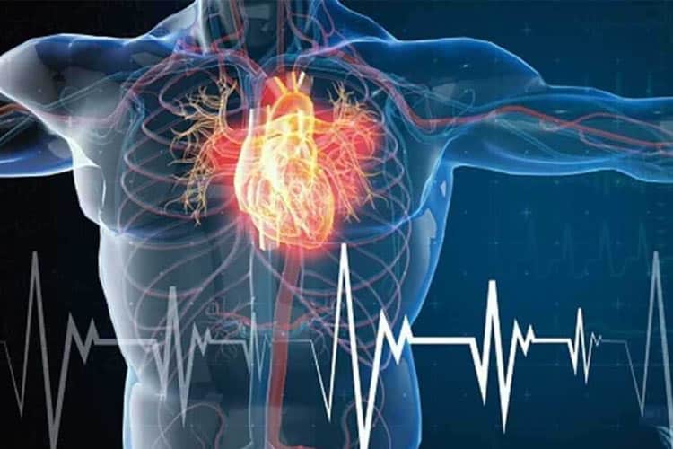 چهار عادت ساده که از حمله قلبی جلوگیری می‌کنند