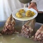 کلهپاچه گران شد/ قیمت میلیونی کلهپاچه را ببینید + جدول