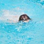 ۳ کودک در استخر کشاورزی در کرمان غرق شدند