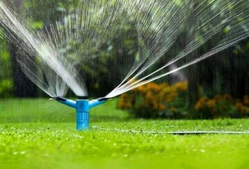 امسال توسعه درختکاری نداریم؛ تمرکز بر حفظ فضای سبز موجود در بجنورد
