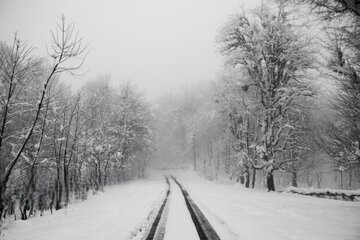 برف و باران در راه کرمان