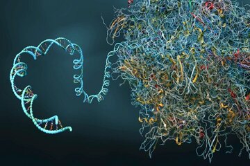 دانشمندان کپسول زمان ساختند