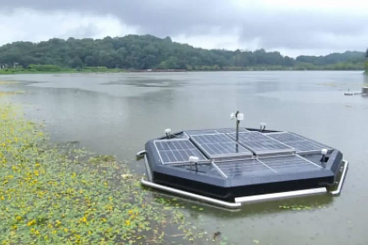 رباتهای خودران به جنگ آلودگی آب میروند: راهحلی برای جلوگیری از ایجاد «مناطق مرده»