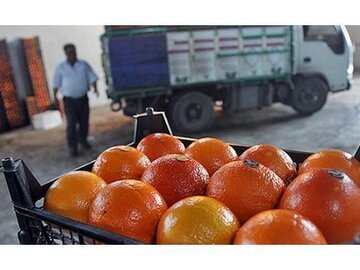 مرکبات مازندران در سبد خرید خارجی ها