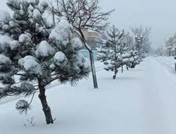 پیش بینی کاهش محسوس دما و یخبندان امشب در مازندران