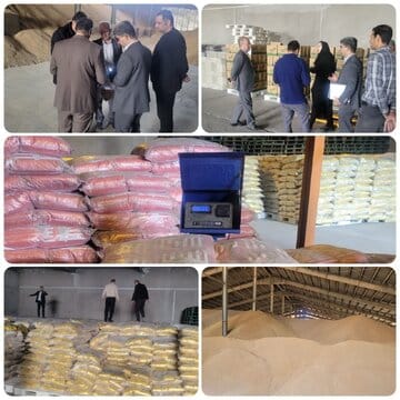 آغاز انبارگردانی مراکز ذخیرهسازی گندم و کالاهای اساسی در استان سمنان