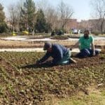 ارومیه آماده نوروز ۱۴۰۵ میشود