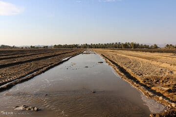 اعمال خاموشیدر بخشهای کشاورزی و صنعت هرمزگان