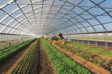 افتتاح و کلنگ زنی ۱۹ طرح گلخانه ای در فارس