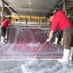 افزایش عجیب نرخ خدمات قالیشویی/ هزینه شستوشوی فرش چقدر است؟