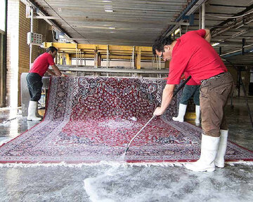 افزایش عجیب نرخ خدمات قالیشویی/ هزینه شستوشوی فرش چقدر است؟