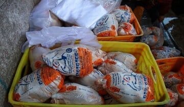 افزایش قیمت مرغ در پایان سال جدی شد؟/ طلاکش: مرغ گران شود هم از این عدد بالاتر نمیرود