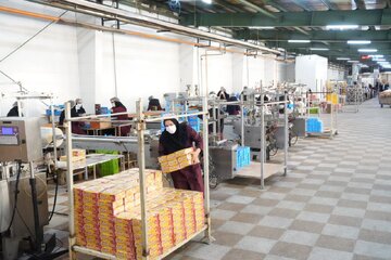 تاکید فرمانداری شیراز بر رفع سریع موانع تولید/ پایش مستمر واحدها در دستورکار