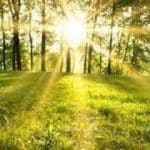 تداوم گرمای هوا تا دوشنبه در مازندران