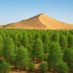 توزیع دو میلیون اصله نهال در استان سمنان همزمان با هفته منابع طبیعی