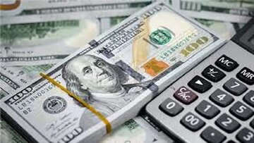 حذف ارز ترجیحی؛ شوک قیمتی اجتنابناپذیر در زنجیره دام و طیور