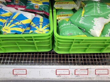 در پی جهش ۱۰۰ درصدی قیمت در کمتر از ۲ ماه؛خرید شیر نایلونی هم حساب و کتاب ماهانه میخواهد