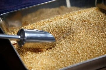 سازوکار قیمتگذاری طلای جهانی/ چرا اونس طلا رکورد زد؟