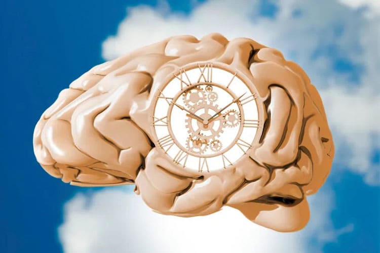 ساعت بیولوژیکی چگونه خطر چاقی و بیماری را افزایش میدهد؟