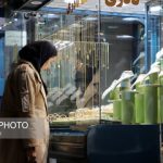 سقوط آزاد قیمت طلا و سکه در بازار/ بیشترین ریزش را این قطعات سکه تجربه کردند