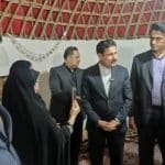 طرح «خانههای توپی» در جازموریان با حضور معاون رئیسجمهور افتتاح شد