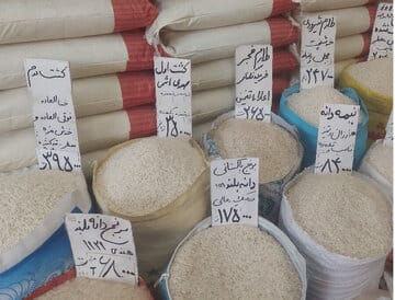قیمت جدید برنج امروز جمعه ۲۴ بهمن/ برنج ایرانی، هندی و پاکستانی کیلویی چند؟