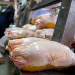 قیمت جدید گوشت مرغ امروز ۲۳ بهمن ۱۴۰۴/ مرغ کامل کیلویی چند شد؟ + جدول بهمن ماه ۱۴۰۴