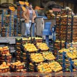 قیمت رسمی میوه و سبزی اعلام شد/ این میوه کیلویی ۶۵۰ هزار تومان قیمت خورد +جدول