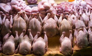 قیمت مرغ ارزان شد/ وزارت جهادکشاورزی، قیمت جدید مرغ را اعلام کرد