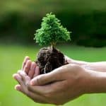 مردم بهرهبرداران اصلی عرصههای منابع ملی هستند / برگزاری مراسم روز درختکاری در هفته منابع طبیعی