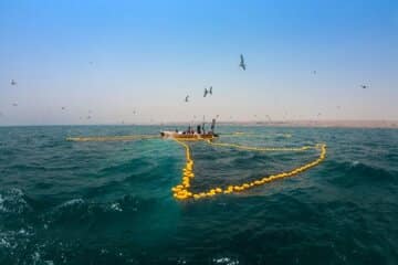 ممنوعیت صید ساردین ماهیان در آبهای قشم