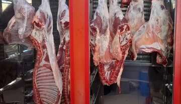 گوشت ارزان میشود؟/ هشدار اتحادیه دام سبک درباره بازار گوشت سال آینده