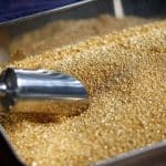 یک پیشبینی جنجالی از قیمت طلا در ماههای آینده/ منتظر عبور قیمت طلا از این عدد باشید