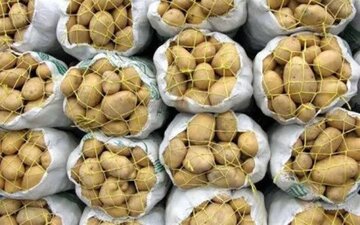 افزایش عرضه سیب زمینی به شهرهای مسافرپذیر با توقف صادرات