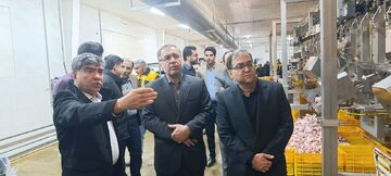 بازدید مدیران اقتصادی فارس از مراکز تولید و تأمین کالاهای اساسی