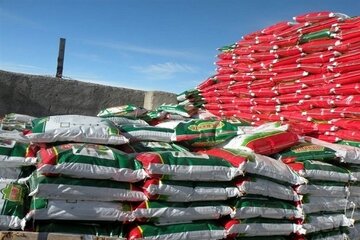 بمب ساعتی زیر سفرههای جهانی / وقتی قیمت نان جهان در تنگه هرمز تعیین میشود !