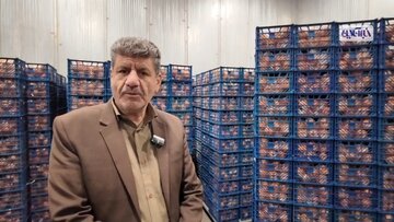 توزیع میوه شب عید در ایلام آغاز شد/ اولویت توزیع با روستا بازارهاست